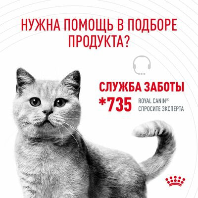 Сухие корма Royal Canin Корм для взрослых кошек Royal Canin Hairball Care Корм сухой для профилактики образования волосяных комочков, 2 кг (вид 10) Сухие корма Royal Canin Корм для взрослых кошек Royal Canin Hairball Care Корм сухой для профилактики образования волосяных комочков, 2 кг (фото, вид 10)