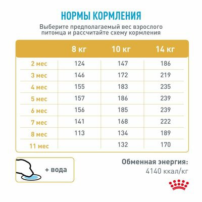 Сухие корма Royal Canin Корм сухой для щенков породы Французский бульдог до 12 месяцев Royal Canin French Bulldog Puppy, 3 кг (вид 5) Сухие корма Royal Canin Корм сухой для щенков породы Французский бульдог до 12 месяцев Royal Canin French Bulldog Puppy, 3 кг (фото, вид 5)