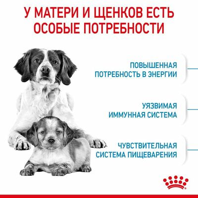 Сухие корма Royal Canin Корм для щенков средних размеров Royal Canin Medium Starter Mother&Babydog до 2-х месяцев, беременных и кормящих сук, 4 кг (вид 1) Сухие корма Royal Canin Корм для щенков средних размеров Royal Canin Medium Starter Mother&Babydog до 2-х месяцев, беременных и кормящих сук, 4 кг (фото, вид 1)
