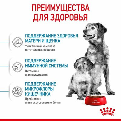 Сухие корма Royal Canin Корм для щенков средних размеров Royal Canin Medium Starter Mother&Babydog до 2-х месяцев, беременных и кормящих сук, 4 кг (вид 5) Сухие корма Royal Canin Корм для щенков средних размеров Royal Canin Medium Starter Mother&Babydog до 2-х месяцев, беременных и кормящих сук, 4 кг (фото, вид 5)