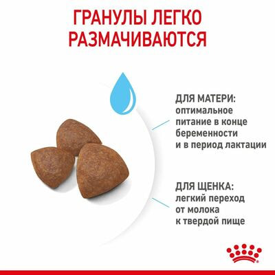 Сухие корма Royal Canin Корм для щенков средних размеров Royal Canin Medium Starter Mother&Babydog до 2-х месяцев, беременных и кормящих сук, 4 кг (вид 7) Сухие корма Royal Canin Корм для щенков средних размеров Royal Canin Medium Starter Mother&Babydog до 2-х месяцев, беременных и кормящих сук, 4 кг (фото, вид 7)