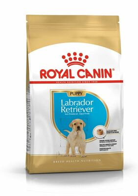 Сухие корма Royal Canin Royal Canin Labrador Retriever Puppy Корм сухой для щенков породы Лабрадор Ретривер от 15 месяцев, 12 кг (вид 1) Сухие корма Royal Canin Royal Canin Labrador Retriever Puppy Корм сухой для щенков породы Лабрадор Ретривер от 15 месяцев, 12 кг (фото, вид 1)