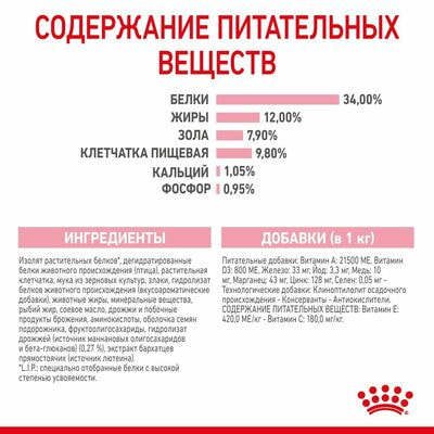 Сухие корма Royal Canin Корм для стерилизованных котят Royal Canin Kitten Sterilised Корм сухой сбалансированный, 2 кг (вид 3) Сухие корма Royal Canin Корм для стерилизованных котят Royal Canin Kitten Sterilised Корм сухой сбалансированный, 2 кг (фото, вид 3)