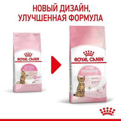 Сухие корма Royal Canin Корм для стерилизованных котят Royal Canin Kitten Sterilised Корм сухой сбалансированный, 2 кг (вид 4) Сухие корма Royal Canin Корм для стерилизованных котят Royal Canin Kitten Sterilised Корм сухой сбалансированный, 2 кг (фото, вид 4)