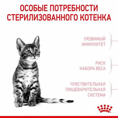Сухие корма Royal Canin Корм для стерилизованных котят Royal Canin Kitten Sterilised Корм сухой сбалансированный, 2 кг (вид 8) Сухие корма Royal Canin Корм для стерилизованных котят Royal Canin Kitten Sterilised Корм сухой сбалансированный, 2 кг (фото, вид 8)