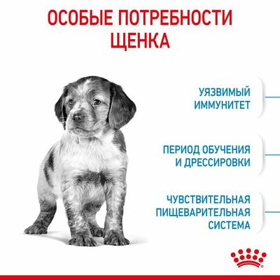 Сухие корма Royal Canin Корм сухой для щенков средних пород в возрасте до 12 месяцев Royal Canin Medium Puppy, 3 кг (вид 7) Сухие корма Royal Canin Корм сухой для щенков средних пород в возрасте до 12 месяцев Royal Canin Medium Puppy, 3 кг (фото, вид 7)