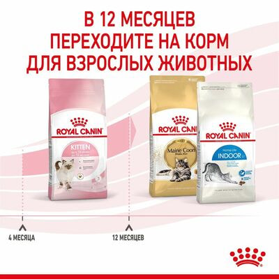Сухие корма Royal Canin Корм для котят Royal Canin Kitten Корм сухой сбалансированный период второй фазы роста, 2 кг (вид 6) Сухие корма Royal Canin Корм для котят Royal Canin Kitten Корм сухой сбалансированный период второй фазы роста, 2 кг (фото, вид 6)