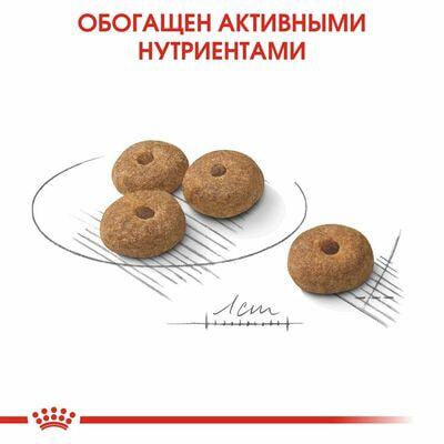 Сухие корма Royal Canin Корм для взрослых стерилизованных собак мелких размеров, склонных к набору веса, Royal Canin Mini Sterilised, сухой,3 кг (вид 5) Сухие корма Royal Canin Корм для взрослых стерилизованных собак мелких размеров, склонных к набору веса, Royal Canin Mini Sterilised, сухой,3 кг (фото, вид 5)