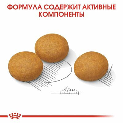 Сухие корма Royal Canin Корм для взрослых собак крупных размеров при раздражениях и зуде кожи Royal Canin Maxi Dermacomfort, сухой, 10 кг (вид 6) Сухие корма Royal Canin Корм для взрослых собак крупных размеров при раздражениях и зуде кожи Royal Canin Maxi Dermacomfort, сухой, 10 кг (фото, вид 6)