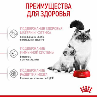 Сухие корма Royal Canin Корм для котят в период первой фазы роста и отъема,беременных и кормящих кошек, Royal Canin Mother&Babycat,сухой, 2 кг (вид 7) Сухие корма Royal Canin Корм для котят в период первой фазы роста и отъема,беременных и кормящих кошек, Royal Canin Mother&Babycat,сухой, 2 кг (фото, вид 7)