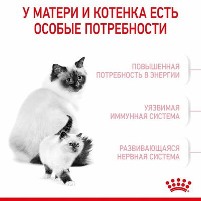 Сухие корма Royal Canin Корм для котят в период первой фазы роста и отъема,беременных и кормящих кошек, Royal Canin Mother&Babycat,сухой, 2 кг (вид 8) Сухие корма Royal Canin Корм для котят в период первой фазы роста и отъема,беременных и кормящих кошек, Royal Canin Mother&Babycat,сухой, 2 кг (фото, вид 8)