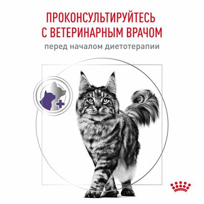 Сухие корма Royal Canin Royal Canin Neutered Satiety Balance Корм для взрослых котов и кошек с момента стерилизации, сухой диетический, 1,5 кг (вид 4) Сухие корма Royal Canin Royal Canin Neutered Satiety Balance Корм для взрослых котов и кошек с момента стерилизации, сухой диетический, 1,5 кг (фото, вид 4)