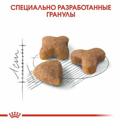 Сухие корма Royal Canin Корм для взрослых кошек с чувствительной пищеварительной системой Royal Canin Sensible 33 сухой сбалансированный, 15 кг (вид 6) Сухие корма Royal Canin Корм для взрослых кошек с чувствительной пищеварительной системой Royal Canin Sensible 33 сухой сбалансированный, 15 кг (фото, вид 6)
