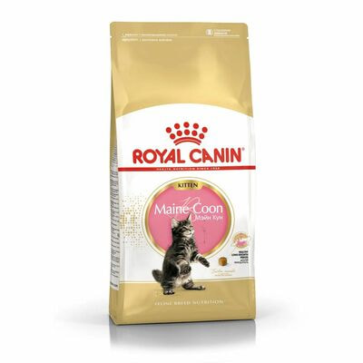 Сухие корма Royal Canin Корм для кошек Royal Canin Maine Coon Kitten Корм сухой сбалансированный для котят породы Мэйн Кун, 2 кг (вид 1) Сухие корма Royal Canin Корм для кошек Royal Canin Maine Coon Kitten Корм сухой сбалансированный для котят породы Мэйн Кун, 2 кг (фото, вид 1)
