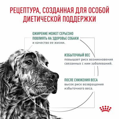 Сухие корма Royal Canin Royal Canin Satiety Weight Management SAT 30 Canine Корм для собак для снижения веса, сухой диетический, 1,5 кг (вид 3) Сухие корма Royal Canin Royal Canin Satiety Weight Management SAT 30 Canine Корм для собак для снижения веса, сухой диетический, 1,5 кг (фото, вид 3)