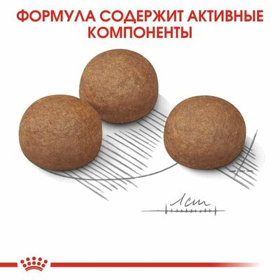 Сухие корма Royal Canin Корм для собак больших размеров с чувствительным пищеварением Royal Canin Корм Mini Digestive Care сухой, 3 кг (вид 5) Сухие корма Royal Canin Корм для собак больших размеров с чувствительным пищеварением Royal Canin Корм Mini Digestive Care сухой, 3 кг (фото, вид 5)