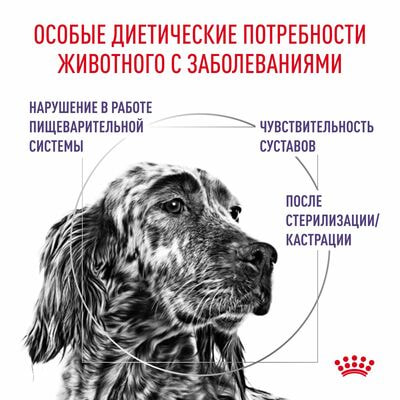 Сухие корма Royal Canin Royal Canin Neutered Adult Medium Dogs Корм сухой полнорационный для взрослых стерилизованных собак среднего размера (от 11 до 25 ), 9 кг (вид 1) Сухие корма Royal Canin Royal Canin Neutered Adult Medium Dogs Корм сухой полнорационный для взрослых стерилизованных собак среднего размера (от 11 до 25 ), 9 кг (фото, вид 1)
