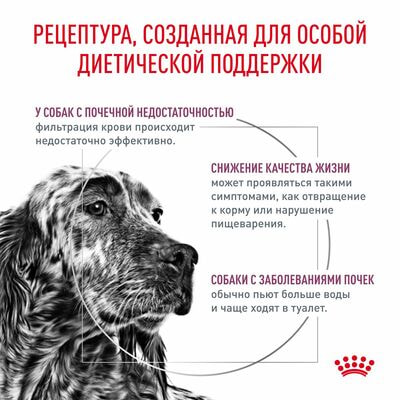 Сухие корма Royal Canin Royal Canin Renal RF 14 Canine Корм сухой диетический для взрослых собак для поддержания функции почек, 2 кг (вид 3) Сухие корма Royal Canin Royal Canin Renal RF 14 Canine Корм сухой диетический для взрослых собак для поддержания функции почек, 2 кг (фото, вид 3)