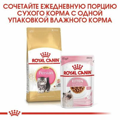 Сухие корма Royal Canin Корм для кошек Royal Canin Persian Kitten Корм сухой сбалансированный для персидских котят, 2 кг (вид 4) Сухие корма Royal Canin Корм для кошек Royal Canin Persian Kitten Корм сухой сбалансированный для персидских котят, 2 кг (фото, вид 4)