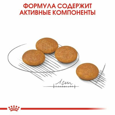 Сухие корма Royal Canin Корм для взрослых собак мелких размеров при раздражениях и зуде кожи Royal Canin Mini Dermacomfort, сухой, 1 кг (вид 4) Сухие корма Royal Canin Корм для взрослых собак мелких размеров при раздражениях и зуде кожи Royal Canin Mini Dermacomfort, сухой, 1 кг (фото, вид 4)