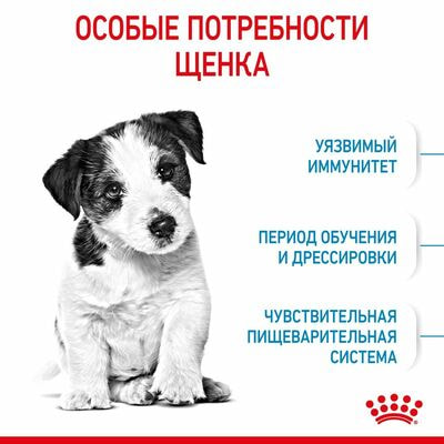 Сухие корма Royal Canin Корм сухой для щенков мелких пород в возрасте до 10 месяцев Royal Canin Mini Puppy, 4 кг (вид 4) Сухие корма Royal Canin Корм сухой для щенков мелких пород в возрасте до 10 месяцев Royal Canin Mini Puppy, 4 кг (фото, вид 4)
