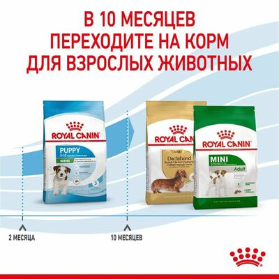 Сухие корма Royal Canin Корм сухой для щенков мелких пород в возрасте до 10 месяцев Royal Canin Mini Puppy, 4 кг (вид 6) Сухие корма Royal Canin Корм сухой для щенков мелких пород в возрасте до 10 месяцев Royal Canin Mini Puppy, 4 кг (фото, вид 6)