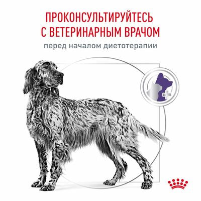Сухие корма Royal Canin Royal Canin Neutered Adult Корм сухой для взрослых стерилизованных/кастрированных собак старше 12 мес, 3,5 кг (вид 2) Сухие корма Royal Canin Royal Canin Neutered Adult Корм сухой для взрослых стерилизованных/кастрированных собак старше 12 мес, 3,5 кг (фото, вид 2)