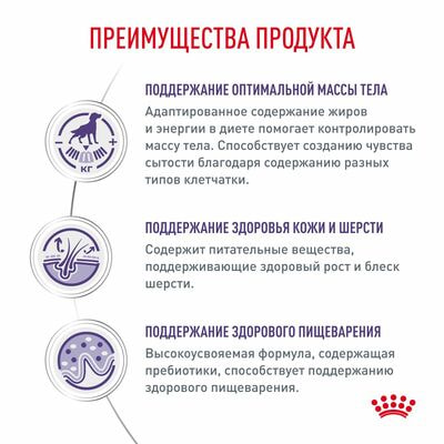 Сухие корма Royal Canin Royal Canin Neutered Adult Корм сухой для взрослых стерилизованных/кастрированных собак старше 12 мес, 3,5 кг (вид 3) Сухие корма Royal Canin Royal Canin Neutered Adult Корм сухой для взрослых стерилизованных/кастрированных собак старше 12 мес, 3,5 кг (фото, вид 3)