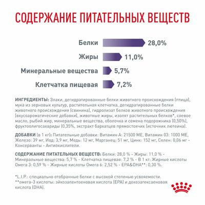 Сухие корма Royal Canin Royal Canin Neutered Adult Корм сухой для взрослых стерилизованных/кастрированных собак старше 12 мес, 3,5 кг (вид 4) Сухие корма Royal Canin Royal Canin Neutered Adult Корм сухой для взрослых стерилизованных/кастрированных собак старше 12 мес, 3,5 кг (фото, вид 4)