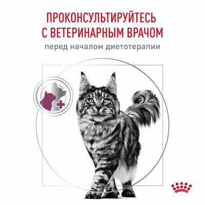Сухие корма Royal Canin Royal Canin Renal RF 23 Feline Корм сухой диетический для взрослых кошек для поддержания функции почек, 2 кг (вид 3) Сухие корма Royal Canin Royal Canin Renal RF 23 Feline Корм сухой диетический для взрослых кошек для поддержания функции почек, 2 кг (фото, вид 3)