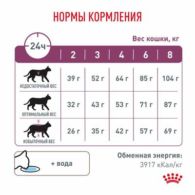 Сухие корма Royal Canin Royal Canin Renal RF 23 Feline Корм сухой диетический для взрослых кошек для поддержания функции почек, 2 кг (вид 7) Сухие корма Royal Canin Royal Canin Renal RF 23 Feline Корм сухой диетический для взрослых кошек для поддержания функции почек, 2 кг (фото, вид 7)