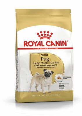 Сухие корма Royal Canin Корм для взрослых собак Royal Canin Pug Adult сухой для породы Мопс от 10 месяцев, 1,5 кг (вид 1) Сухие корма Royal Canin Корм для взрослых собак Royal Canin Pug Adult сухой для породы Мопс от 10 месяцев, 1,5 кг (фото, вид 1)