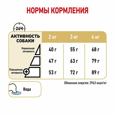 Сухие корма Royal Canin Корм для собак Royal Canin Yorkshire Terrier 8+ сухой для стареющих собак породы Йоркширский Терьер от 8 лет, 1,5 кг (вид 4) Сухие корма Royal Canin Корм для собак Royal Canin Yorkshire Terrier 8+ сухой для стареющих собак породы Йоркширский Терьер от 8 лет, 1,5 кг (фото, вид 4)