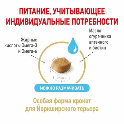 Сухие корма Royal Canin Корм для собак Royal Canin Yorkshire Terrier 8+ сухой для стареющих собак породы Йоркширский Терьер от 8 лет, 1,5 кг (вид 6) Сухие корма Royal Canin Корм для собак Royal Canin Yorkshire Terrier 8+ сухой для стареющих собак породы Йоркширский Терьер от 8 лет, 1,5 кг (фото, вид 6)