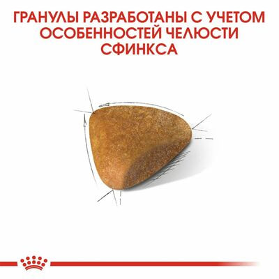 Сухие корма Royal Canin Корм для кошек Royal Canin Sphynx Adult Корм сухой сбалансированный для взрослых кошек породы Сфинкс,2 кг (вид 5) Сухие корма Royal Canin Корм для кошек Royal Canin Sphynx Adult Корм сухой сбалансированный для взрослых кошек породы Сфинкс,2 кг (фото, вид 5)