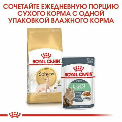 Сухие корма Royal Canin Корм для кошек Royal Canin Sphynx Adult Корм сухой сбалансированный для взрослых кошек породы Сфинкс,10 кг (вид 7) Сухие корма Royal Canin Корм для кошек Royal Canin Sphynx Adult Корм сухой сбалансированный для взрослых кошек породы Сфинкс,10 кг (фото, вид 7)