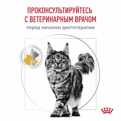 Сухие корма Royal Canin Royal Canin Urinary S/O LP 34 Feline Корм сухой диетический для взрослых кошек при мочекаменной болезни, 7 кг (вид 8) Сухие корма Royal Canin Royal Canin Urinary S/O LP 34 Feline Корм сухой диетический для взрослых кошек при мочекаменной болезни, 7 кг (фото, вид 8)