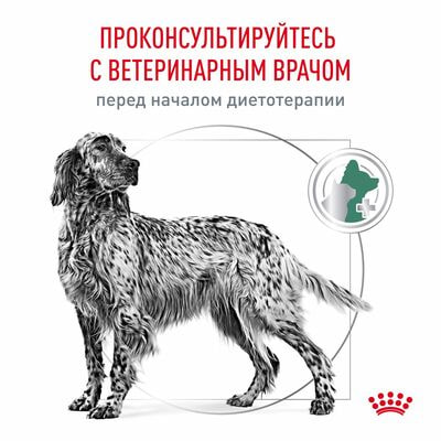 Сухие корма Royal Canin Royal Canin Satiety Weight Management SAT 30 Canine Корм сухой диетический для собак для снижения веса, 12 кг (вид 3) Сухие корма Royal Canin Royal Canin Satiety Weight Management SAT 30 Canine Корм сухой диетический для собак для снижения веса, 12 кг (фото, вид 3)