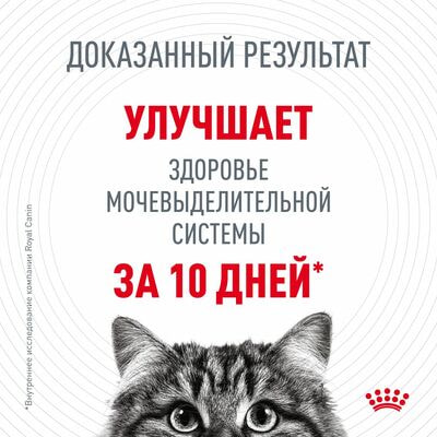 Сухие корма Royal Canin Корм для взрослых кошек Royal Canin Urinary Care Корм сухой для поддержания здоровья мочевыделительной системы,2 кг (вид 3) Сухие корма Royal Canin Корм для взрослых кошек Royal Canin Urinary Care Корм сухой для поддержания здоровья мочевыделительной системы,2 кг (фото, вид 3)
