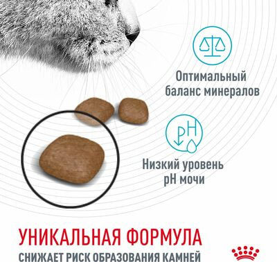 Сухие корма Royal Canin Корм для взрослых кошек Royal Canin Urinary Care Корм сухой для поддержания здоровья мочевыделительной системы,2 кг (вид 5) Сухие корма Royal Canin Корм для взрослых кошек Royal Canin Urinary Care Корм сухой для поддержания здоровья мочевыделительной системы,2 кг (фото, вид 5)