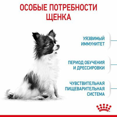 Сухие корма Royal Canin Корм сухой для щенков очень мелких пород в возрасте до 10 месяцев Royal Canin X-Small Puppy, 1.5 кг (вид 3) Сухие корма Royal Canin Корм сухой для щенков очень мелких пород в возрасте до 10 месяцев Royal Canin X-Small Puppy, 1.5 кг (фото, вид 3)