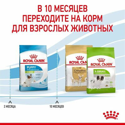 Сухие корма Royal Canin Корм сухой для щенков очень мелких пород в возрасте до 10 месяцев Royal Canin X-Small Puppy, 1.5 кг (вид 7) Сухие корма Royal Canin Корм сухой для щенков очень мелких пород в возрасте до 10 месяцев Royal Canin X-Small Puppy, 1.5 кг (фото, вид 7)