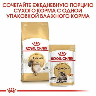 Сухие корма Royal Canin Корм для кошек Royal Canin Siberian Adult сухой специально для породы Сибирская от 12 месяцев, 2 кг (вид 6) Сухие корма Royal Canin Корм для кошек Royal Canin Siberian Adult сухой специально для породы Сибирская от 12 месяцев, 2 кг (фото, вид 6)