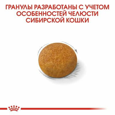 Сухие корма Royal Canin Корм для кошек Royal Canin Siberian Adult сухой специально для породы Сибирская от 12 месяцев, 2 кг (вид 7) Сухие корма Royal Canin Корм для кошек Royal Canin Siberian Adult сухой специально для породы Сибирская от 12 месяцев, 2 кг (фото, вид 7)