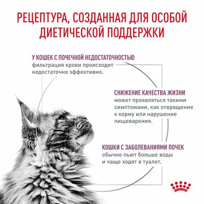 Сухие корма Royal Canin Royal Canin Renal Feline Корм сухой диетический для взрослых кошек для поддержания функции почек, 2 шт по 400 г (вид 2) Сухие корма Royal Canin Royal Canin Renal Feline Корм сухой диетический для взрослых кошек для поддержания функции почек, 2 шт по 400 г (фото, вид 2)