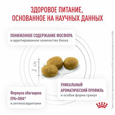 Сухие корма Royal Canin Royal Canin Renal Feline Корм сухой диетический для взрослых кошек для поддержания функции почек, 2 шт по 400 г (вид 4) Сухие корма Royal Canin Royal Canin Renal Feline Корм сухой диетический для взрослых кошек для поддержания функции почек, 2 шт по 400 г (фото, вид 4)