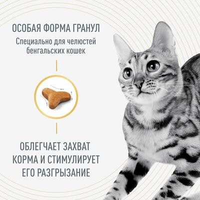 Сухие корма Royal Canin Royal Canin BENGAL ADULT (БЕНГАЛ ЭДАЛТ) Корм сухой полнорационный сбалансированный для кошек бенгальской породы старше 2 месяцев, 2 шт по 400 г (вид 2) Сухие корма Royal Canin Royal Canin BENGAL ADULT (БЕНГАЛ ЭДАЛТ) Корм сухой полнорационный сбалансированный для кошек бенгальской породы старше 2 месяцев, 2 шт по 400 г (фото, вид 2)