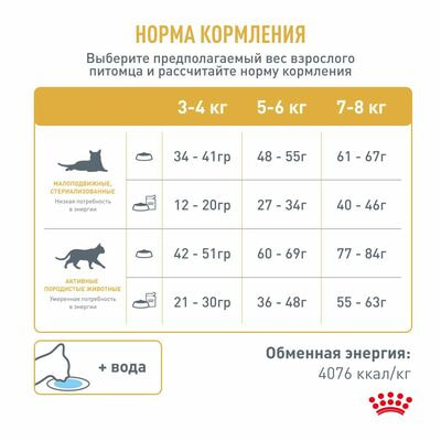 Сухие корма Royal Canin Royal Canin BENGAL ADULT (БЕНГАЛ ЭДАЛТ) Корм сухой полнорационный сбалансированный для кошек бенгальской породы старше 2 месяцев, 2 шт по 400 г (вид 3) Сухие корма Royal Canin Royal Canin BENGAL ADULT (БЕНГАЛ ЭДАЛТ) Корм сухой полнорационный сбалансированный для кошек бенгальской породы старше 2 месяцев, 2 шт по 400 г (фото, вид 3)