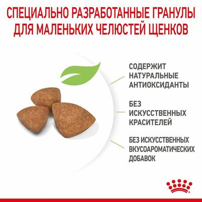 Сухие корма Royal Canin Корм сухой для щенков очень мелких пород в возрасте до 10 месяцев Royal Canin X-Small Puppy, 3 кг (вид 6) Сухие корма Royal Canin Корм сухой для щенков очень мелких пород в возрасте до 10 месяцев Royal Canin X-Small Puppy, 3 кг (фото, вид 6)
