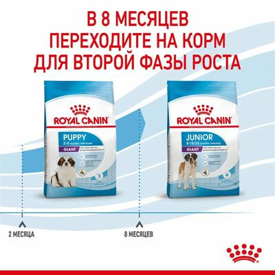 Сухие корма Royal Canin Корм сухой для щенков очень крупных пород в возрасте до 8 месяцев Royal Canin Giant Puppy, 3.5 кг (вид 9) Сухие корма Royal Canin Корм сухой для щенков очень крупных пород в возрасте до 8 месяцев Royal Canin Giant Puppy, 3.5 кг (фото, вид 9)